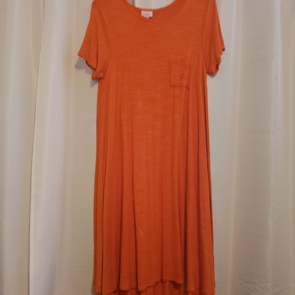 NWOT Lularoe Carly dress